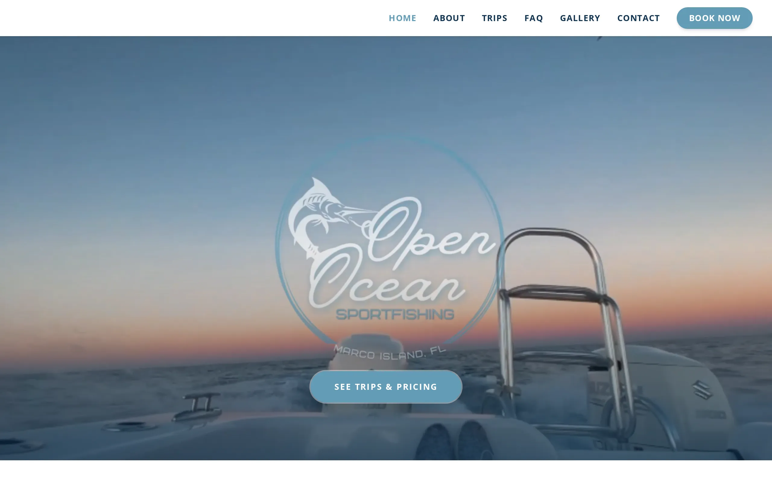Open Ocean Sportfishing website homepage